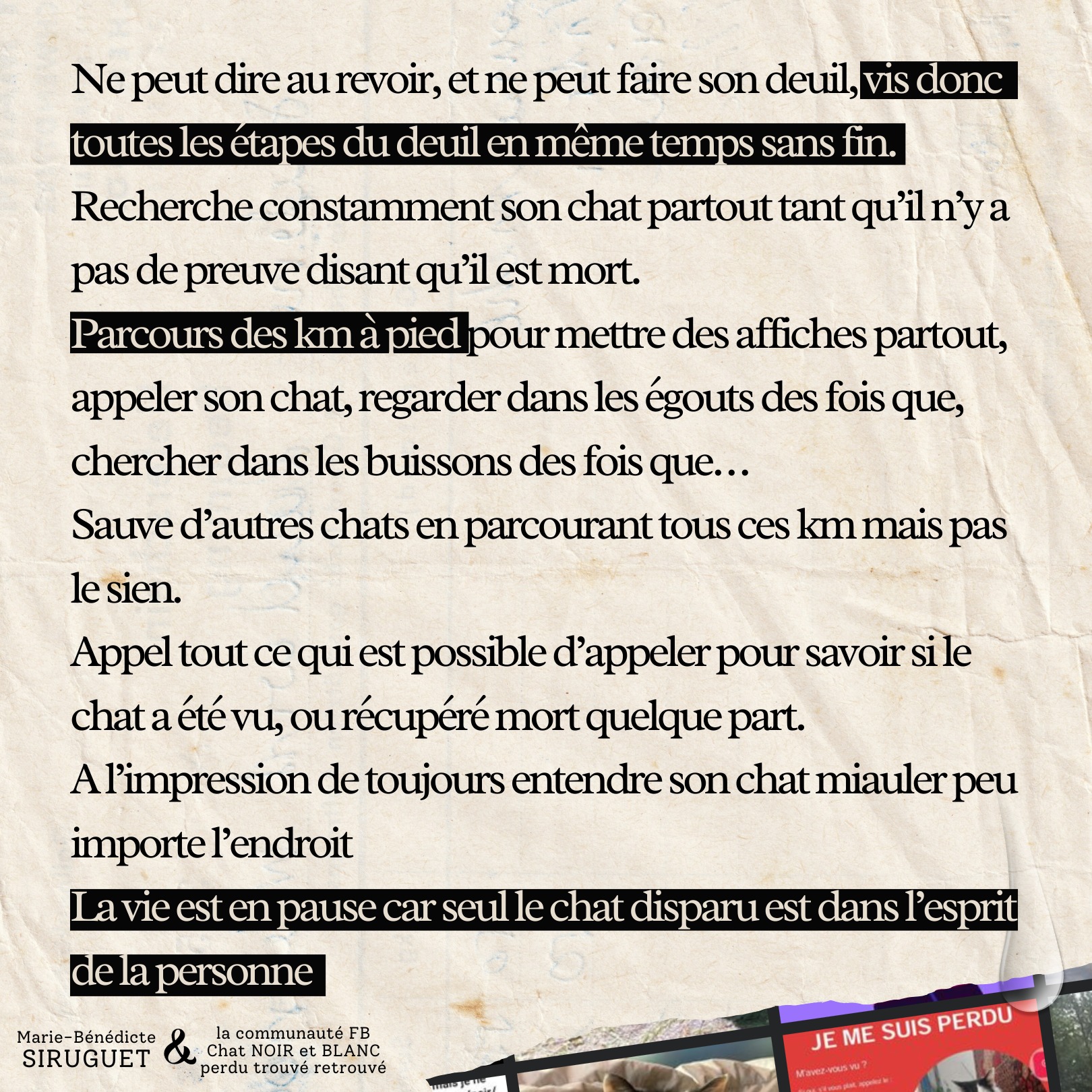 Ce que vit une personne à la recherche de son chat - Deuil impossible