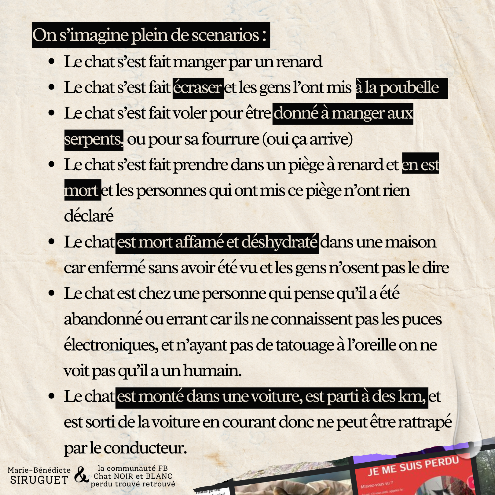 Ce que vit une personne à la recherche de son chat - Scénarios imaginés