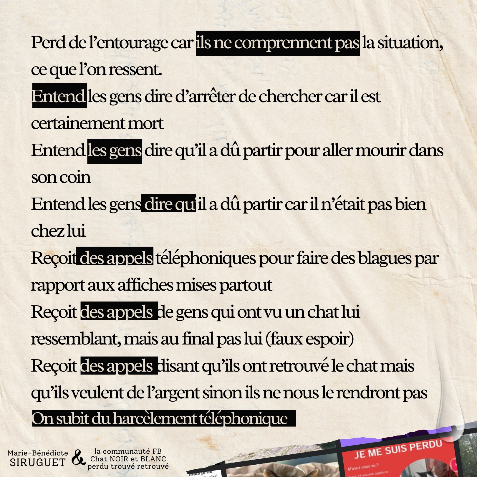 Ce que vit une personne à la recherche de son chat - Incompréhension