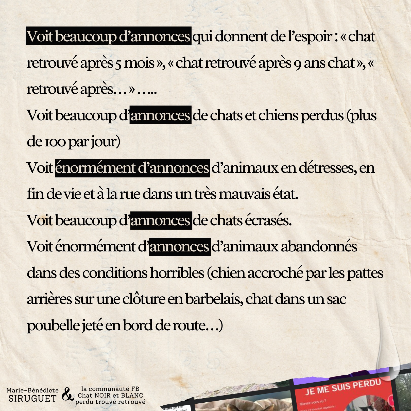 Ce que vit une personne à la recherche de son chat - Annonces