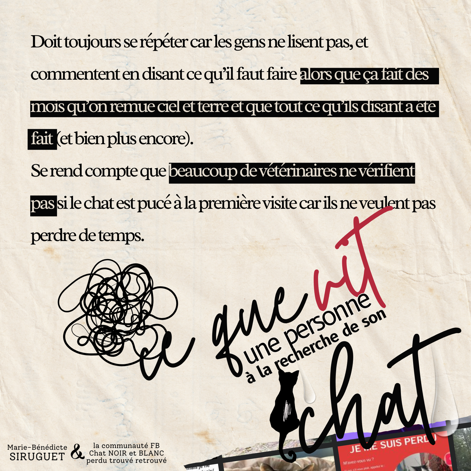 Ce que vit une personne à la recherche de son chat - Vétérinaires