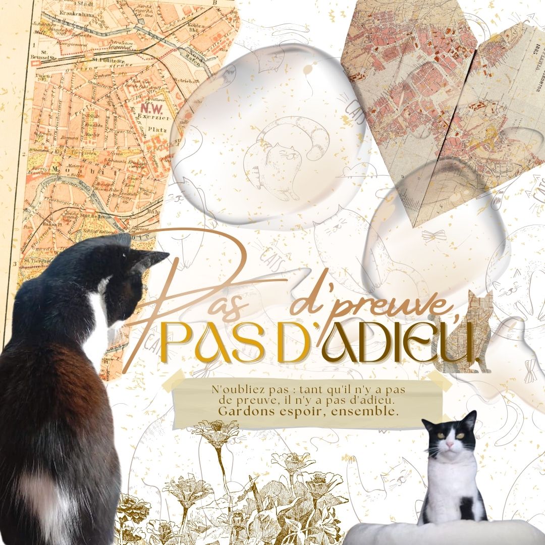 Pas d'preuve, pas d'adieu - Image 2