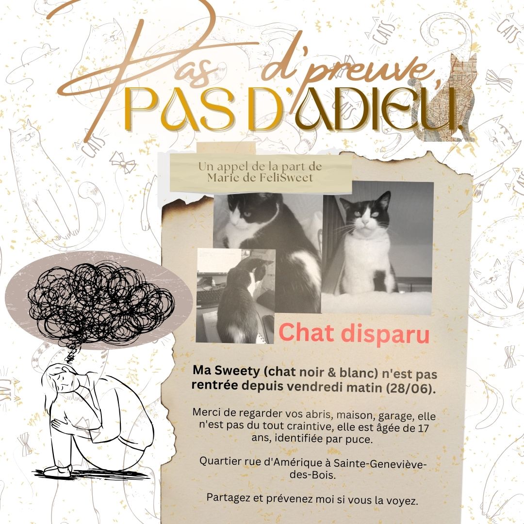 Pas d'preuve, pas d'adieu - Image 3