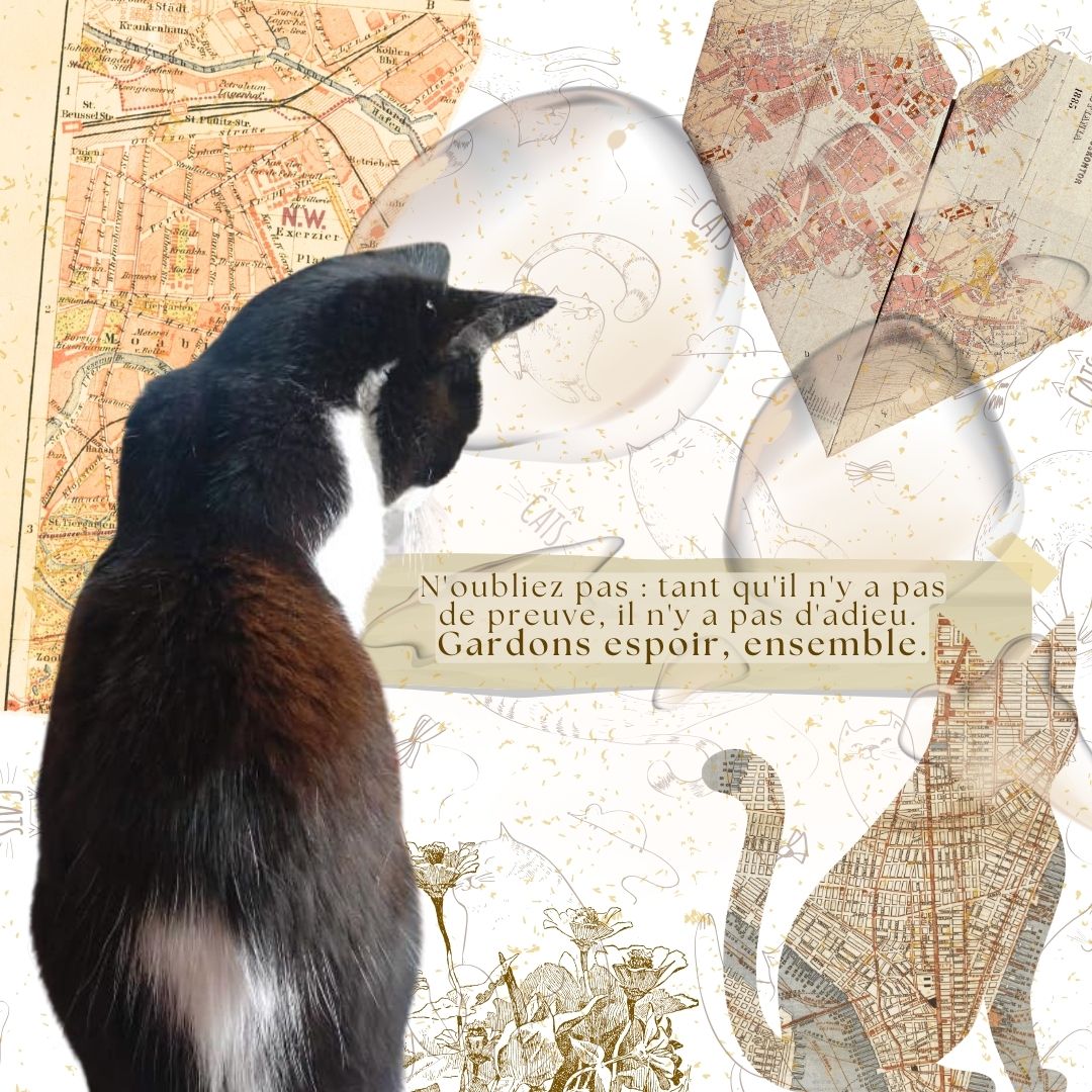 Pas d'preuve, pas d'adieu - Image 4