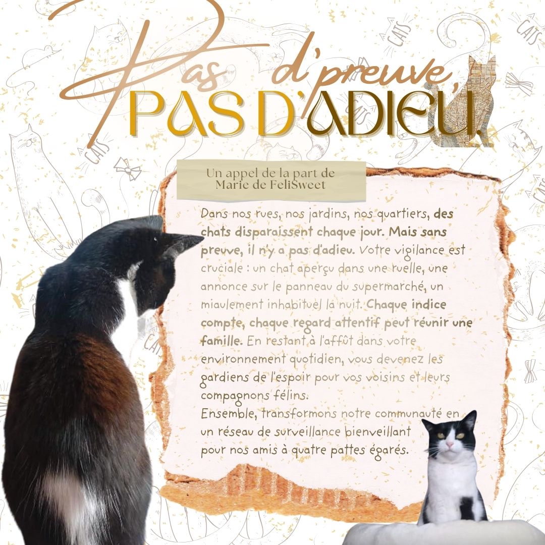 Pas d'preuve, pas d'adieu - Image 5